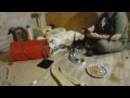 Mash Kittens Thunderstorm