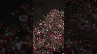 Christmas lights in London #christmas #london