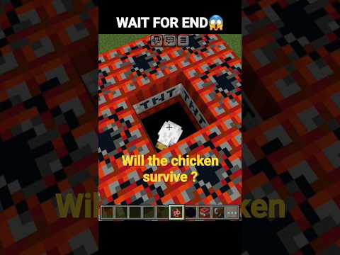 Insane 20K Minecraft Challenge: Chicken vs TNT Trap!