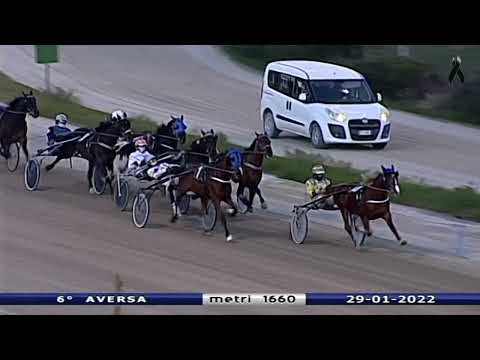 Aversa trotto 29 Gennaio 2022 - 6° Corsa