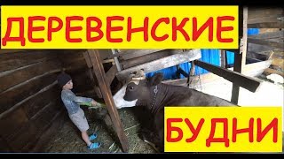 Деревенские будни / Созрела кукуруза / Заказали гуся / А к бабе Тане поедем?