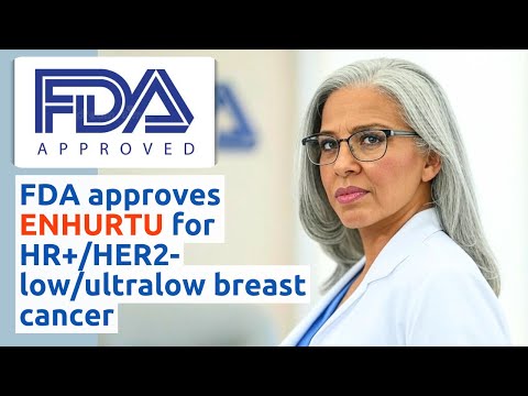 FDA Approves Enhertu for HR+/HER2-low Breast Cancer: Key ...