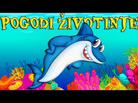 Pogodi Morsku Životinju! 🐬🐙 Edukativni Crtani za Djecu | Učimo Morske Životinje | Pepi TV