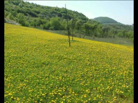 Ciceu Giurgesti slideshow