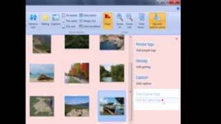 Using Descriptive Tags in Photo Gallery