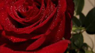 Aao Ge Jab Tum - Ustad Rashid Khan