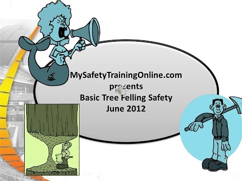 Basic Tree Felling Safety Sept 2013