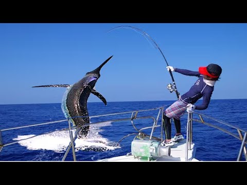 Most Satisfying Fishing Videos Giant Swordfish - Amazing Swordfish Cutting Skill #02