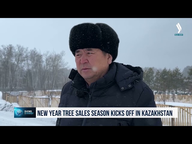 Kazakistan'da Yılbaşı ağacı satış sezonu başladı