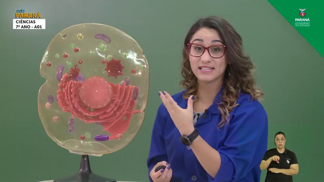 2021 | 7º Ano | Ciências | Aula 01 - Célula Animal - Parte 1