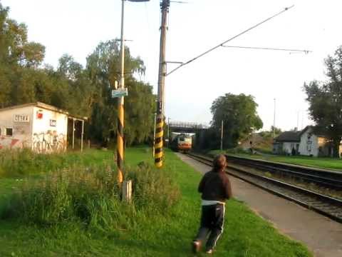 Plecháč na rychlíku