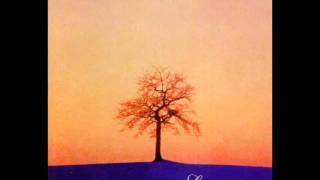 Flowing Tears & Withered Flowers -... And I Drown...