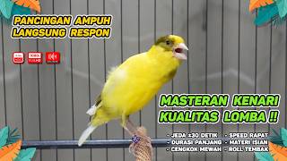 Download lagu Kenari GACOR NGEREK‼️ Masteran Kenari PAUD dan Pancingan Kenari MACET BUNYI dan Betina NGIWIR - 315 mp3 Download lagu Kenari GACOR NGEREK‼️ Masteran Kenari PAUD dan Pancingan Kenari MACET BUNYI dan Betina NGIWIR - 315 mp3