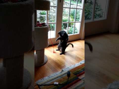 Selma and the String