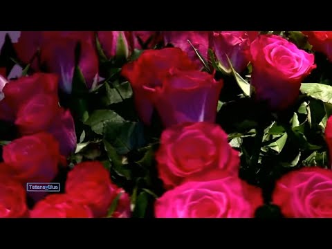 Giovanni Marradi - Tango de Roses @TatianaBlue