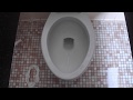 1960 S Rheem Richmond Toilet 2