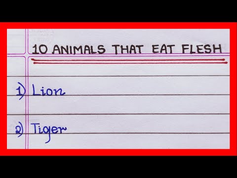 Name the Animals that eat flesh | 5 animals | 10 animals that eat flesh | Carnivore animals name