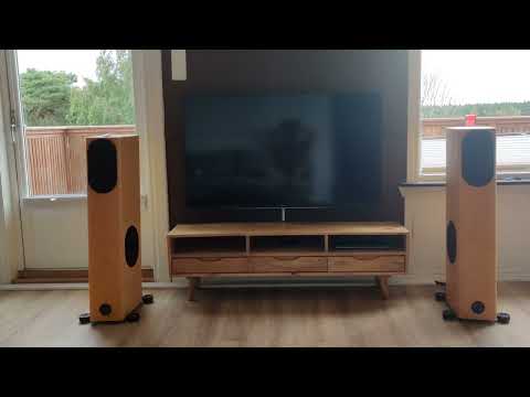 Tri 88 SIGNATURE, Audio Physic Virgo V, Denafrips Ares 2..