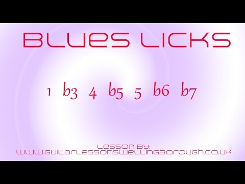Rob Westland - "Blues Licks" A Tribute To Gary Moore