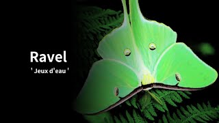 Download lagu ラヴェル【水の戯れ】/Ravel 【Jeux d'eau】 mp3