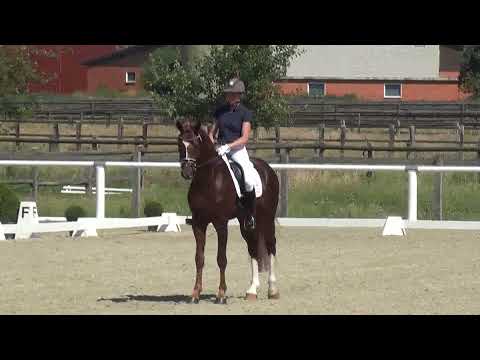 Vidar & Catja Thomsen - 1. WM-Sichtung 2019