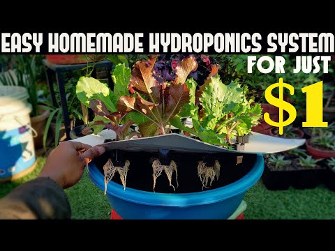 , title : 'Cheapest Hydroponic System For Everyone | Under $1/100 Rs'