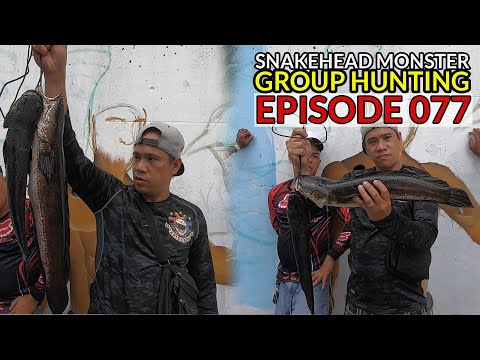 SNAKEHEAD Monster ng Sampaloc Lake - Nagpahuli na | San Pablo City, Laguna