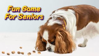 Senior Dog Enrichment for Cavaliers & All Ages | Easy Mental Stimulation for Dogs