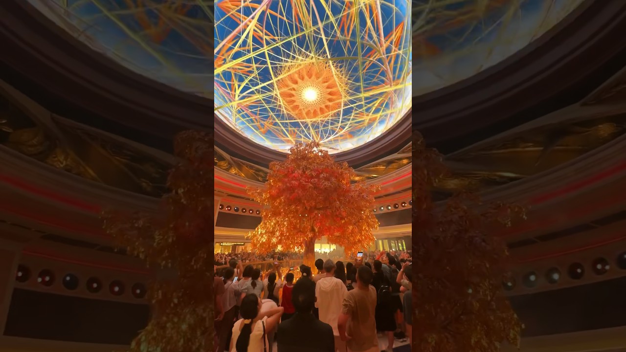 YouTube Short thumbnail