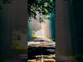 Ade Bhoomi Ade Baanu New Kannada Whatsapp Status