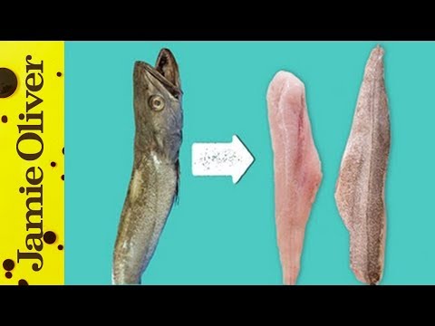 How to fillet fish: Bart’s Fish Tales