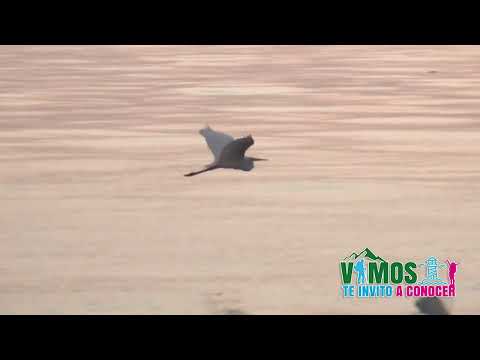 "Estero Real". Municipio de Puerto Morazán, Departamento de Chinandega, Nicaragua.