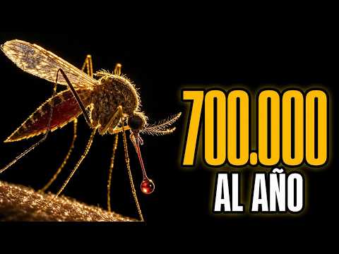 Los Seres Vivos Que Más Humanos Matan Cada Año (No Son los que Crees)