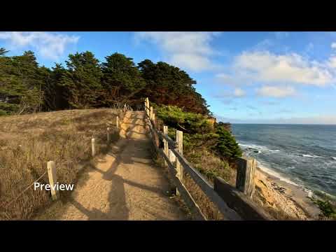 This Hidden Forest Trail Leads to an Amazing Ocean View!