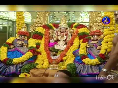 Saamanya Valla Sri Hariya Seve - Charukesi - Adi - Sri Purandaradasa - Singing at Tirupati