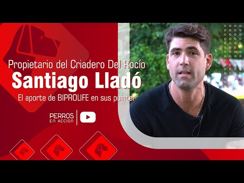 “Perros en acción”  Programa Nº 419 Bloque 1