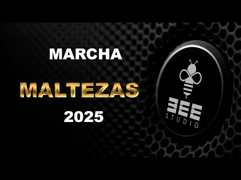 MALTEZAS 2025 -Carnaval da Nazaré