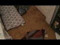 Birthday Message To Brendan Pippin AKA Brendan S Movie Corner