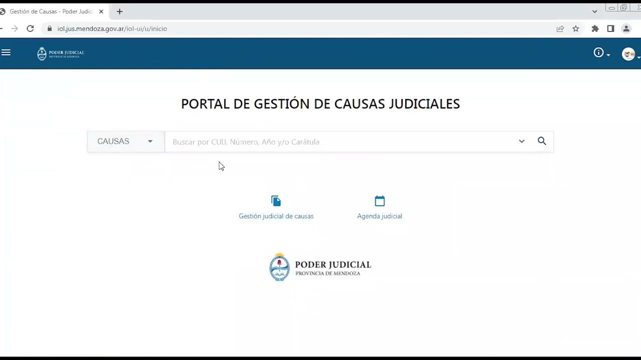 IURIX. PORTAL DE GESTION DE CAUSAS JUDICIALES. CONSULTAS.