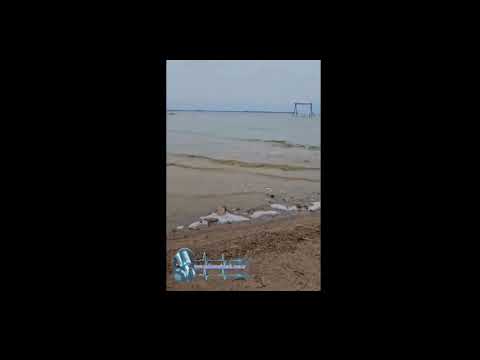 MIRAMAR DE ANSENUZA / SU COSTANERA.