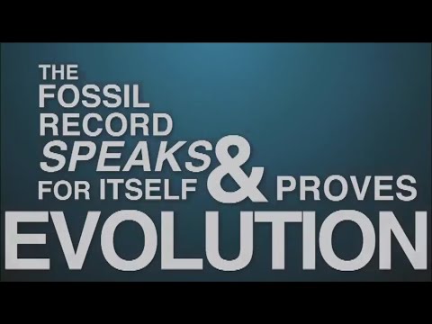 Does The Fossil Record Prove Evolution?