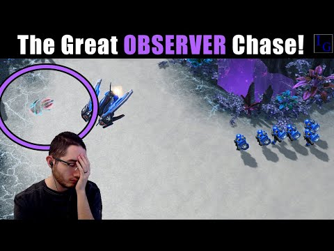 This Terran Hates OBSERVERS! | StarCraft 2 SC2 Protoss vs Terran Ladder Game Highlight PvT Match