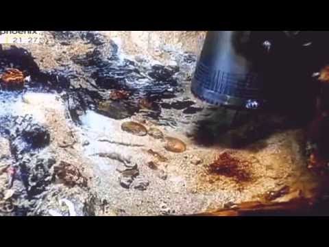 Das Gold der SS Republic - Schatzsuche im Atlantik (Doku HD)