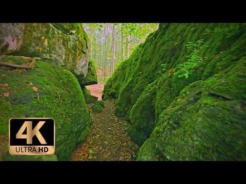 {4k} A rocky trail, full of wonders & a mystical forest |Only nature sounds| |Scenic Route|