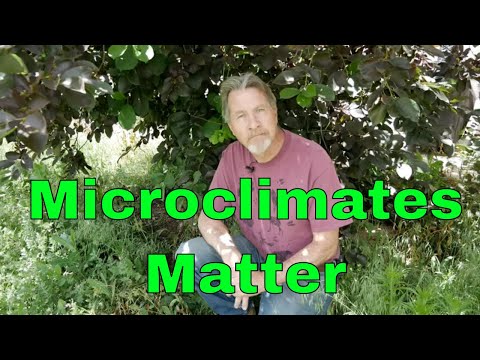 Understanding Microclimates - Change Climates in Your Garden