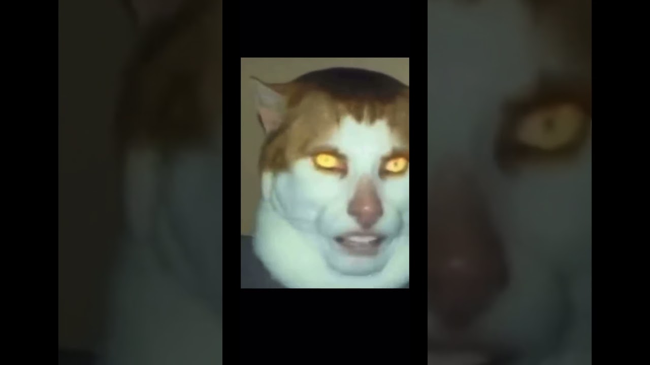 Use headphones for best experience #shorts #meme