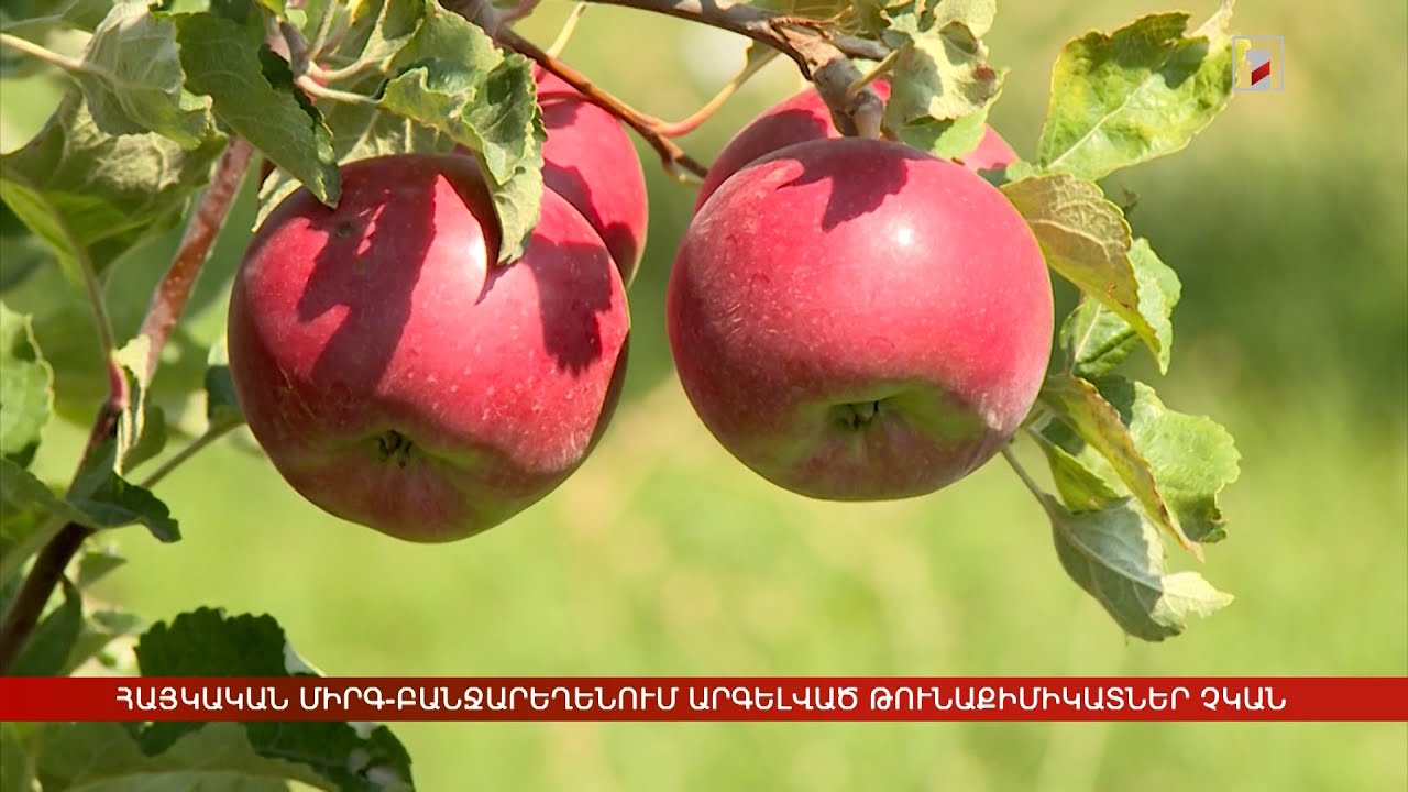 Հայկական միրգ-բանջարեղենն անվտանգ է. մեր երկիր արգելված թունաքիմիկատներ չեն ներմուծվում