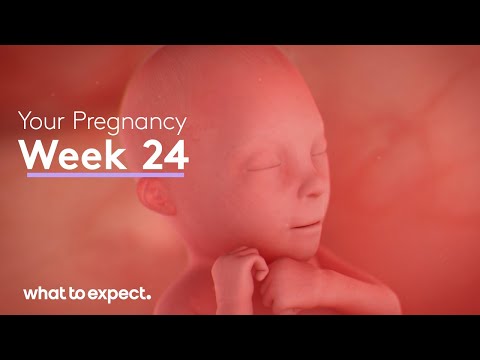 Mother-Baby developments this week (Week 24)