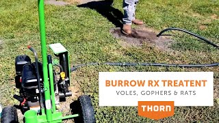 Burrow Rx Treatment for Voles, Gophers, and Rats