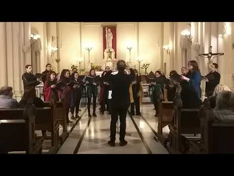 Achim Stoia: Colo-n-jos